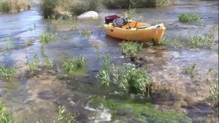 FIELD NOTES: Devils River Ranch Fish Sampling