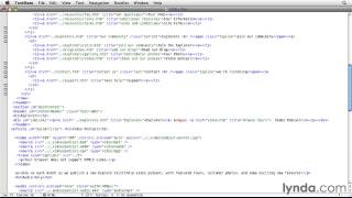 Celebrity HTML5 Video and Audio in Depth -  Displaying subtitles and captions Wealth