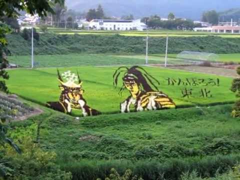 米沢田んぼアート２０１１・慶次＆兼続その１（2011-08-02）