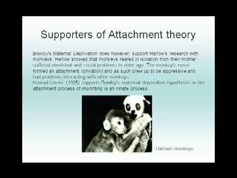 maternal deprivation hypothesis Extracts from this document introduction outline and evaluate bowlby's maternal deprivation hypothesis the first model of attachment that john bowlby created was called the maternal. maternal deprivation hypothesis Extracts from this document introduction outline and evaluate bowlby's maternal deprivation hypothesis the first model of attachment that john bowlby created was called the maternal.