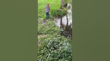 Câu cá lóc bằng vit con tập 2