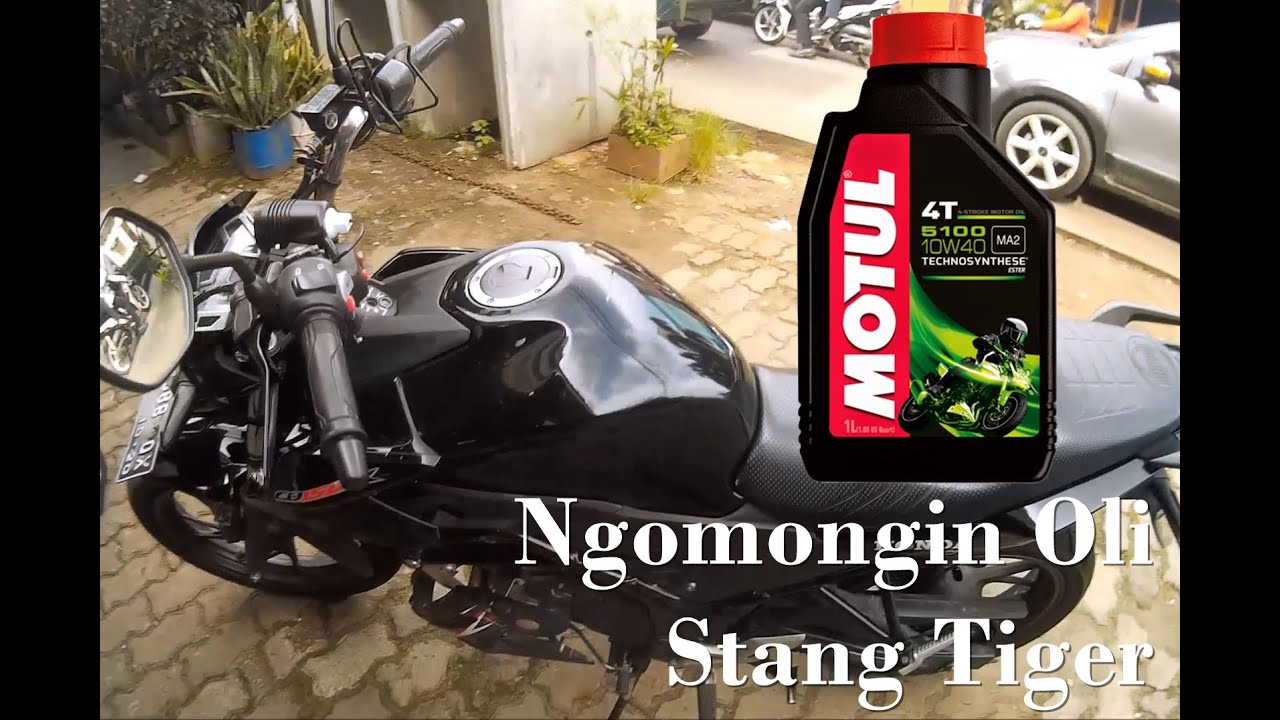 Ngobrolin Stang Tiger Karatan Dan Oli Motul Di CB150R Part 1 YouTube