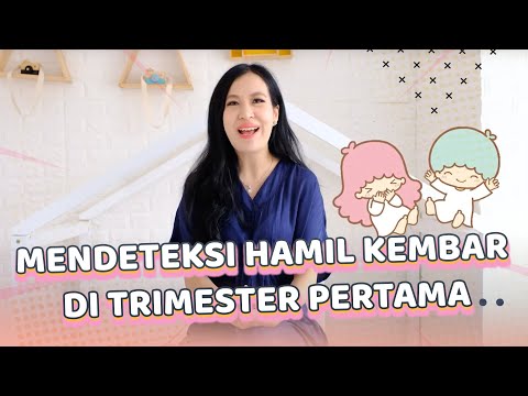 Video: Adakah kembar akan muncul pada ujian kehamilan?