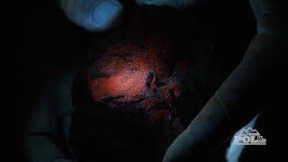 Exclusive Fluorescent Rocks Profile