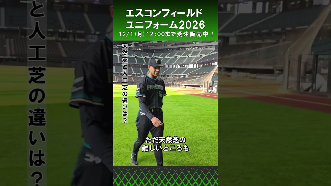 過去イチにかっこいい‼️」万波中正選手にエスコンフィールド