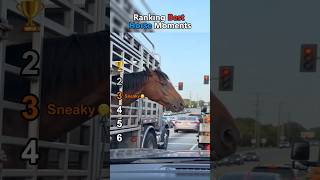 Ranking Best Horse Moments