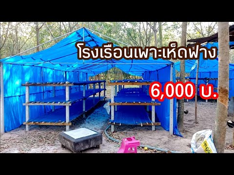 โรงเรือนเพาะเห็ดฟาง ต้นทุนสร้าง 6,000บ.