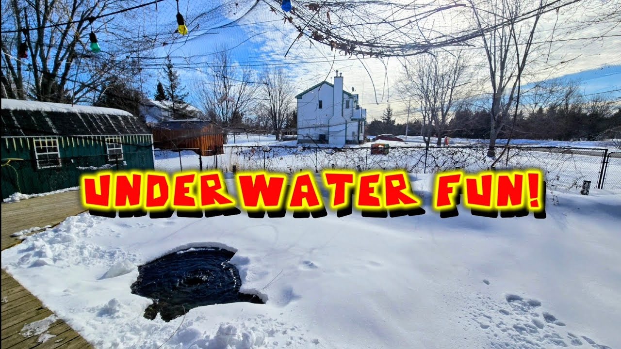 Having some underwater fun! 