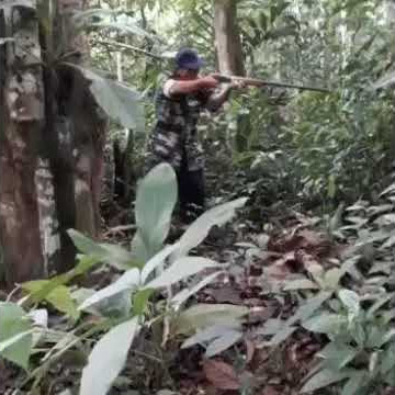 kenangan memburu kijang di Hutan ulu langat Selangor