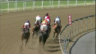 Vidéo de la course PMU PRIX GREYVILLE CONVENTION CENTRE FM 86 HANDICAP