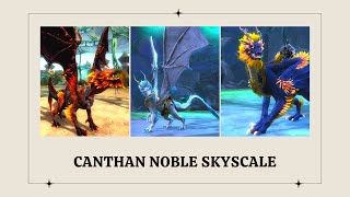Gw2 Canthan Noble Skyscale Pack Mount Showcase Gw2 Canthan Noble Skyscale Pack Mount Showcase