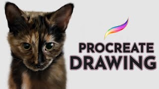 Drawing a Realistic Cat Portrait in Procreate