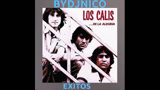 MIX LOS CALIS EXITOS #BYDJNICO