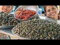 Cooking HOT SPICY Whelk & Snail with Cassava Leaves Recipe - Fried Spicy Chilli Whelk in Village