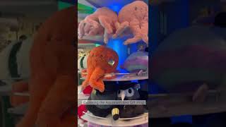 Zi Toys Visits Aquarium