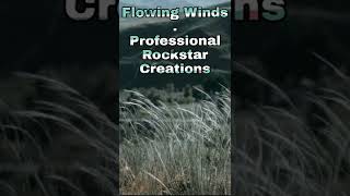 Flowing Winds | New Ringtones | No Copyright Sounds | Professional Rockstar screenshot 2