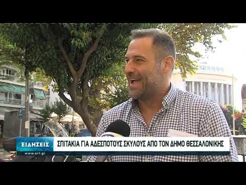 Φροντίδα για τα αδέσποτα του Δήμου Θεσσαλονίκης (video)