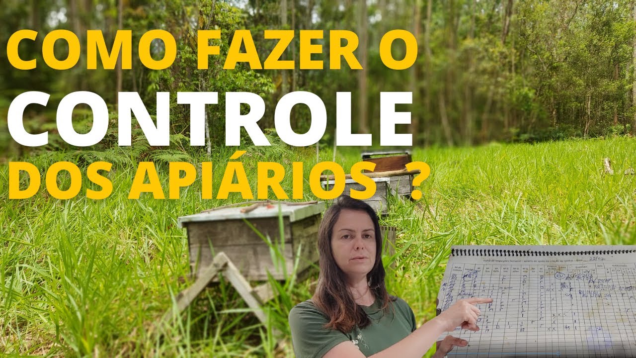 COMO FAZER O CONTROLE DOS APIÁRIOS -  PLANILHA DE CONTROLE #apicultura #abelhas  #abelharainha #mel