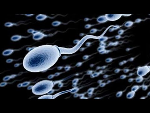 كيف يحدث القذف عند الرجل وما الفرق بين المذى والمنى السائل المنوى