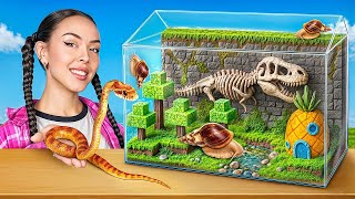 コーンスネークとアフリカマイマイのテラリウムづくり!