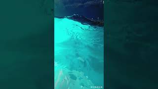 Шарм эл шейх Египет красное море Дайвинг