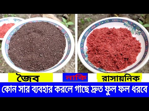 ভিডিও: জৈব উপলভ্যতা কখন বৃদ্ধি পায়?