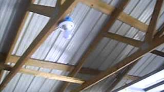 Bat in the Belfre 001