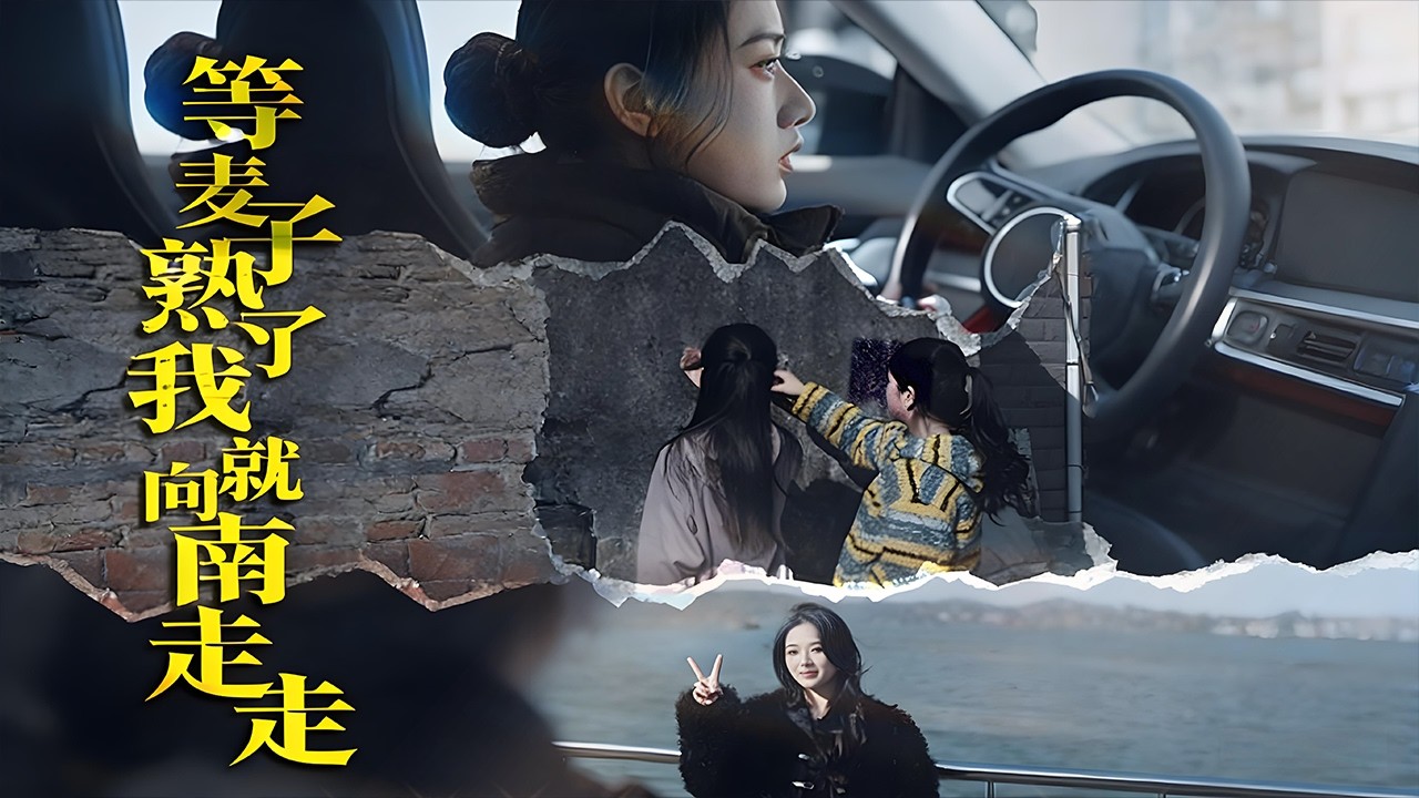 🎬【FULL Version】生命倒計時的母親，唯一牽掛是麥田與南方故土。麥浪翻滾時，她踏上南下的路，女兒放下所有怨懟一路相伴。沿途的溫暖與心事攤開，母女倆在歸途裏相擁丨等麥子熟了我就向南走走