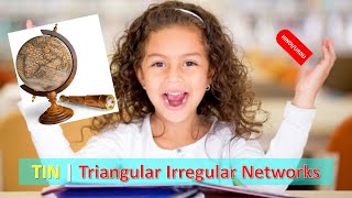 What is TIN | Triangular Irregular Networks (TIN) | TIN Vs GRID in HINDI URDU