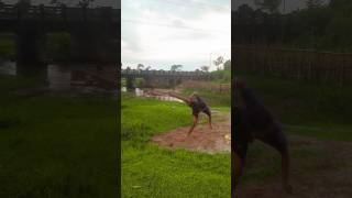 😱one leg flip 360 twist😯#viral#shorts#video#tutorial#flip#stunt😱😯