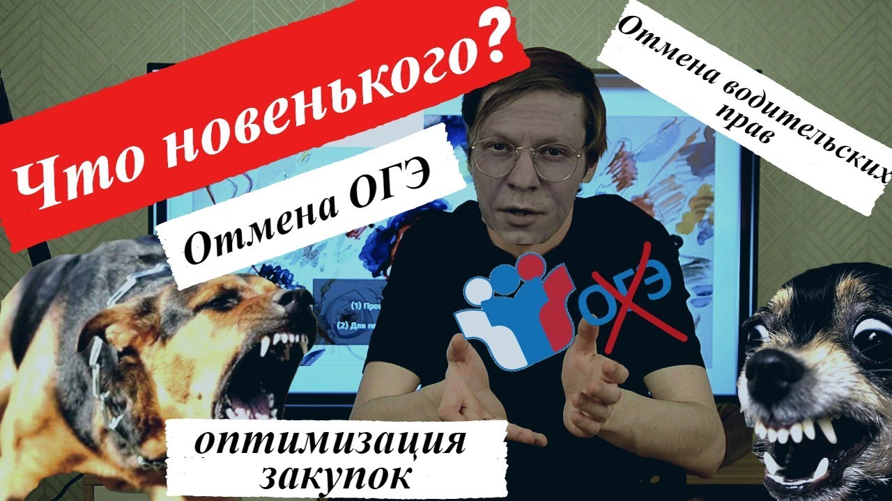 Что новенького узнала