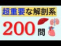 超重要な解剖・疾患・治療の聞き流し