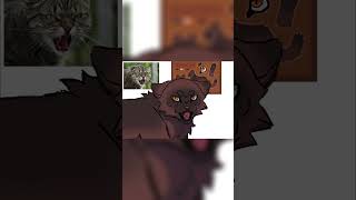 Fake M.A.P. Cover! OC is Buzzardtooth!🧡 #warriorcats #art #oc