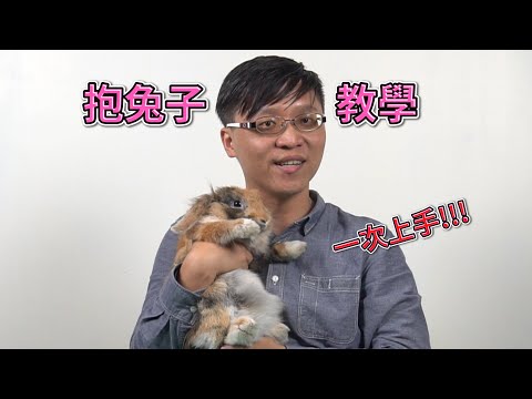 抱兔子教學，沒抱過兔子都能一次上手｜幣寶養兔教學系列 EP.10｜ChampKnows【冠軍知道】