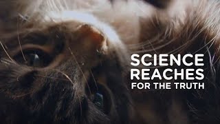 Science Diet - the knowledge of science at the service of healthy pets