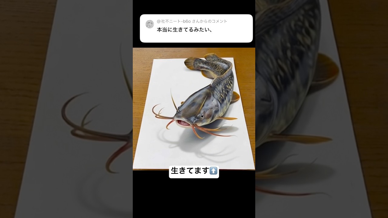 色鉛筆で生きたナマズの絵✏️#イラスト #art #drawing #shorts - YouTube