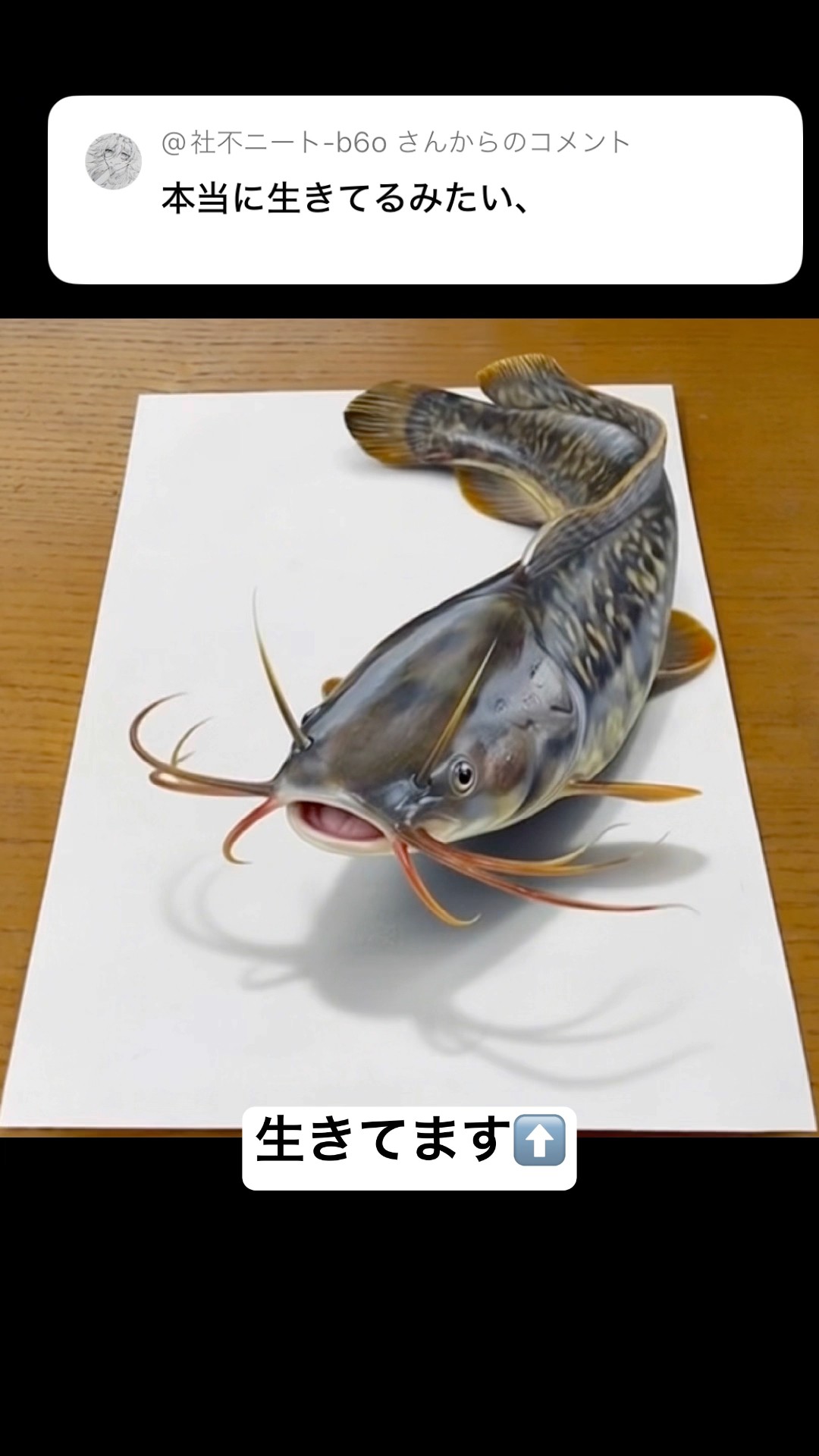 色鉛筆画 ナマズ(原画) 色鉛筆で生きたナマズの絵✏️#イラスト #art #drawing #shorts - YouTube