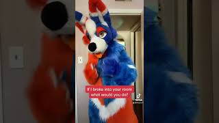 I hate furries I hate furries