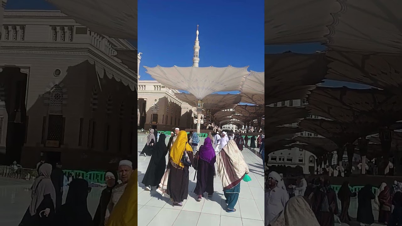 New Cool Tool!❤️🕌New ViralGadgets, SmartKitchen Appliances, Tools, Utensils, Home Cleaning 