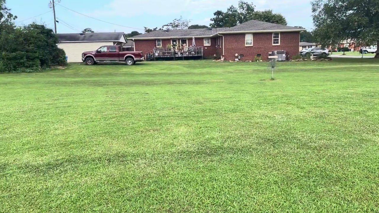 Me and my bro playing disc golf 