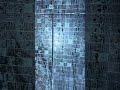 Shower Leaking Through Walls? Failed Grouting & Silicone Causing Hidden Water Damage | N13