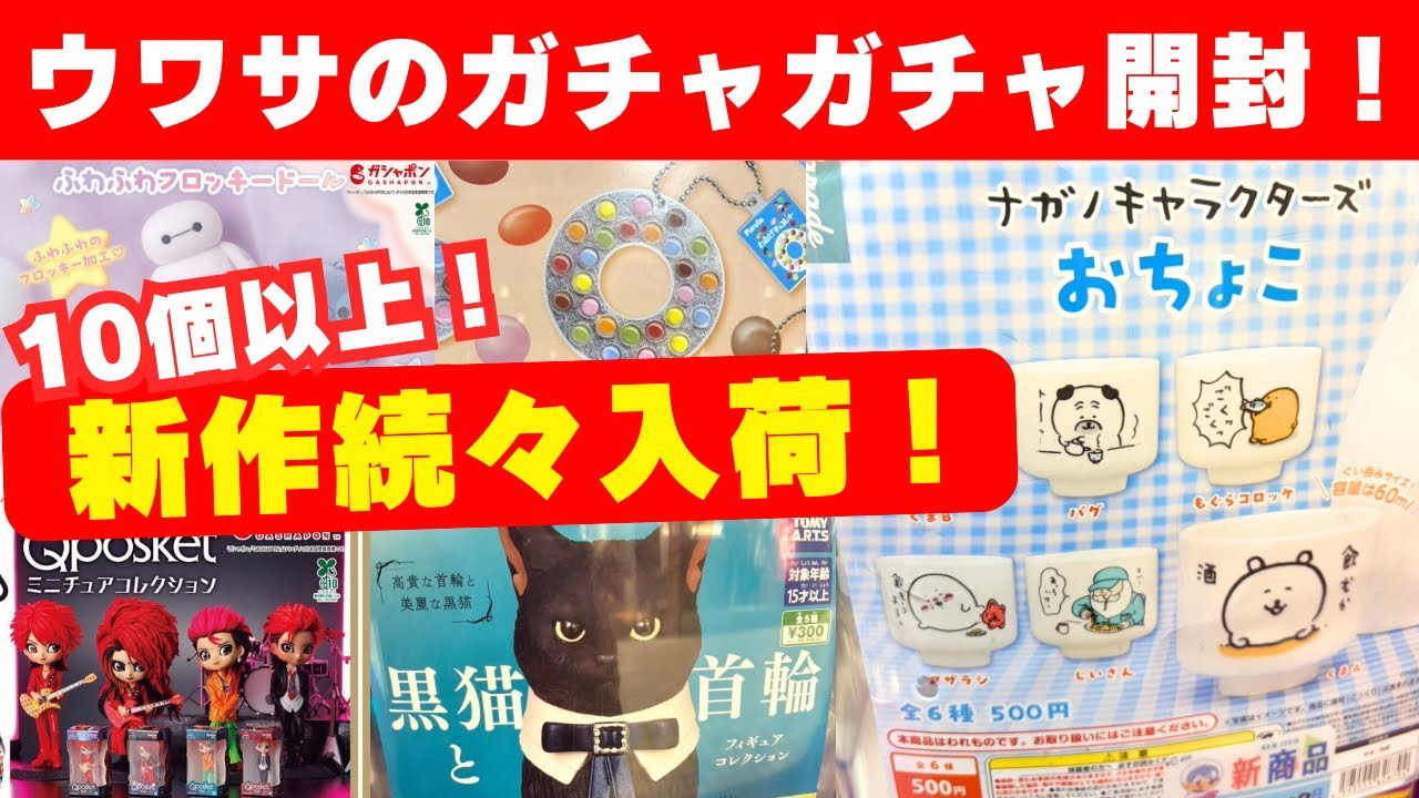 12月#19 【ガチャガチャ】新しい！ウワサの人気作開封！ディズニー/ナガノ/ちいかわ/カプセルトイ/ガシャポン/capsuletoy ほか