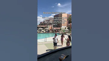 New Dayclub In Las Vegas Inside The MGM Grand Palm Tree Beach Club Brandnew Dayclub Vegas 