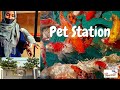 Pet Station Mattul Central - Farm Ville Beach Road Mattool Must Visit Kannur - Vlog - Sapees World