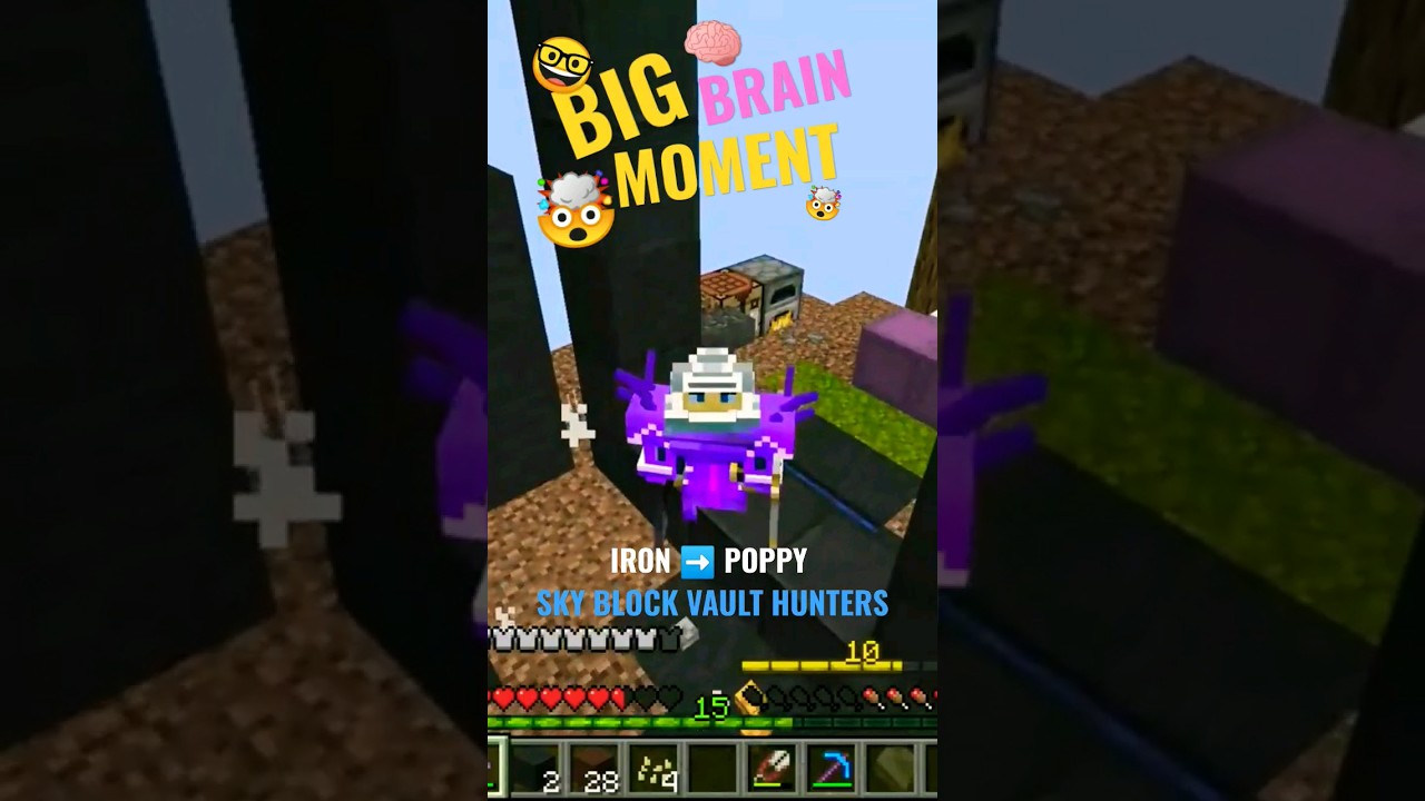 200 IQ Moment - Modded Minecraft sky vaults extreme mode 