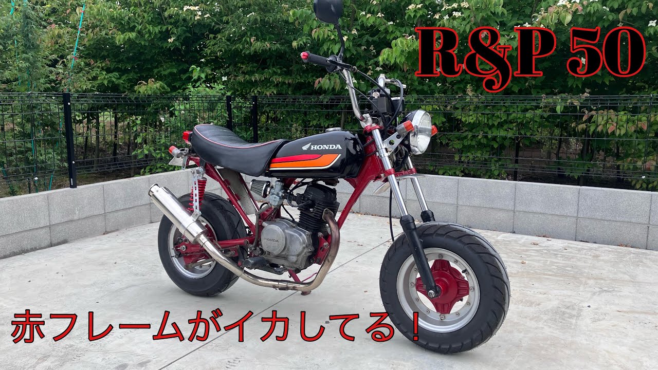 バイク HONDA R&P50 車両紹介】赤フレームがイケてる可愛いバイク！R&P ノーティDAX 50