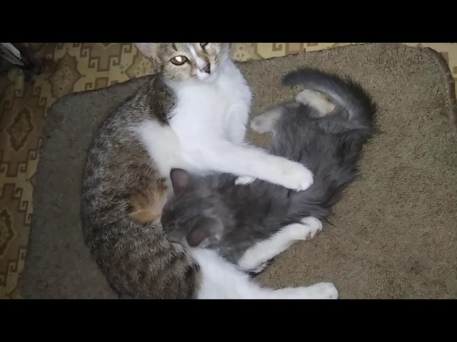 ������������