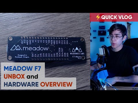 🔍 Wilderness Labs Meadow F7 - Unbox and Hardware Overview (SMT32F7)