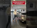 Zo hoort een hatchback te zijn.