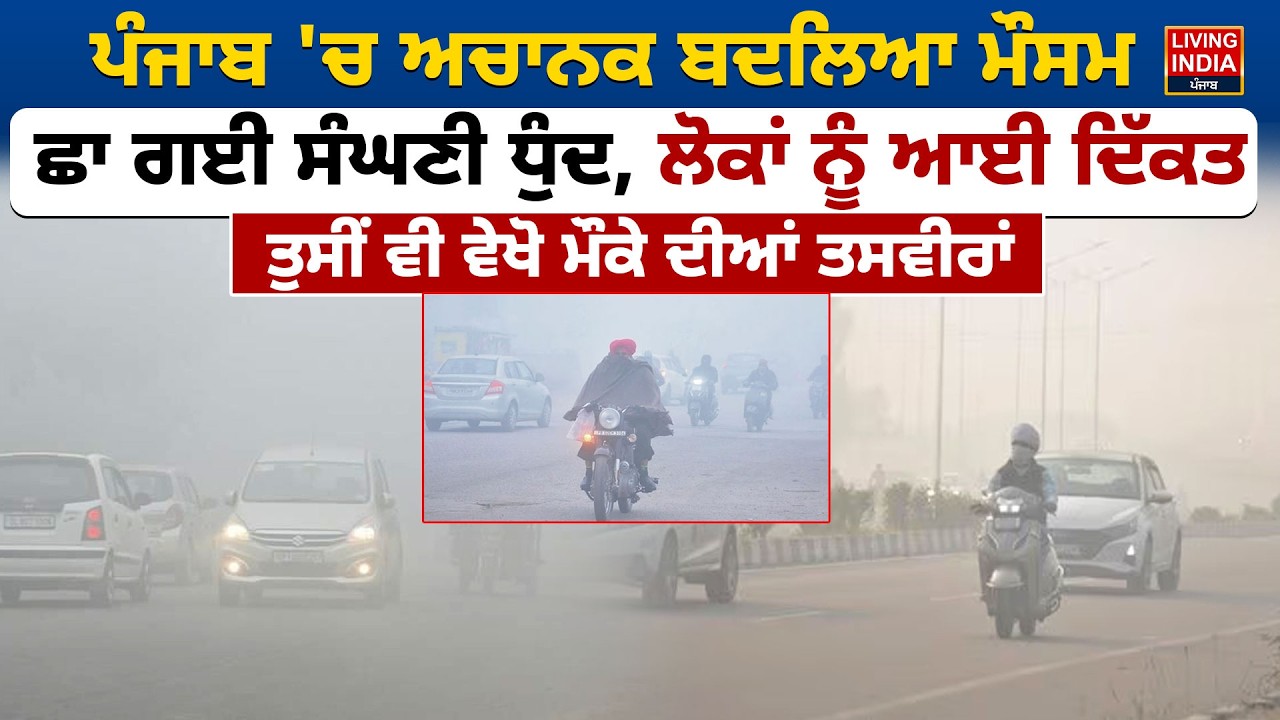 ਪੰਜਾਬ 'ਚ ਅਚਾਨਕ ਬਦਲਿਆ ਮੌਸਮ, ਛਾ ਗਈ ਸੰਘਣੀ ਧੁੰਦ, ਲੋਕਾਂ ਨੂੰ ਆਈ ਦਿੱਕਤ | Punjab Weather | Temprature | LIVE
